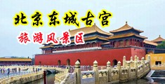 美国大鸡巴操中国女人的小嫩逼中国北京-东城古宫旅游风景区